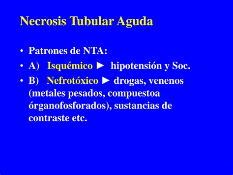 SOLUTION Necrosis Tubular Aguda Studypool