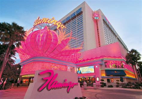 Top 30+ Booking Hotel Flamingo Las Vegas - Hotell Booking