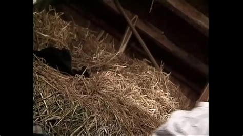 Farmer Videos Xvideos