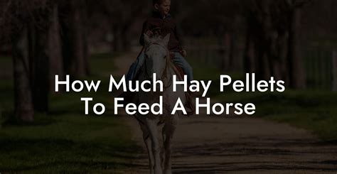 how much hay pellets to feed a horse