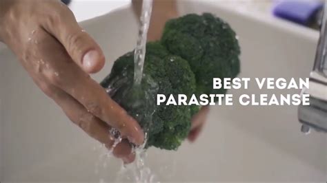 Best Vegan Parasite Cleanse Youtube