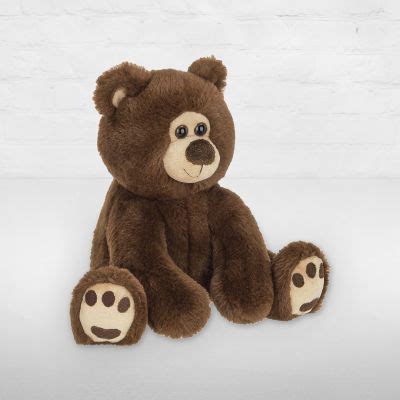 Barnaby Bear Plush :: Ashland Addison Florist Co.