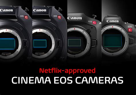 Netflix-Approved Canon Cinema EOS Cameras: An Introduction