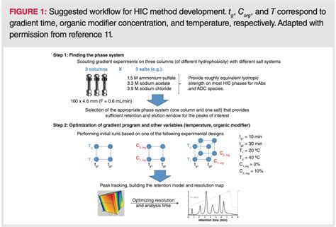 Hydrophobic Interaction Chromatography (HIC) for the Characterization of Therapeutic Monoclonal ...