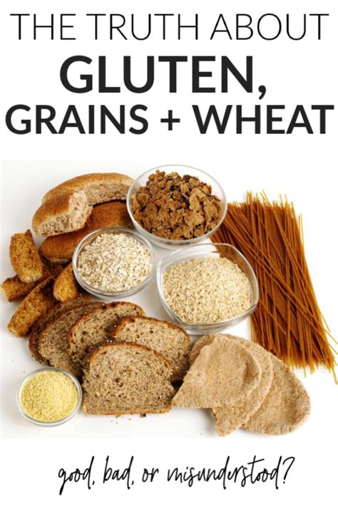 Wheat Gluten Grains Good Bad Or Misunderstood Whitney E Rd