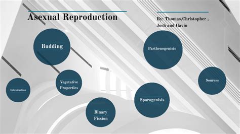 Asexual Reproduction Project By Thomas Chow