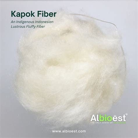 Kapok Fiber Inaexport