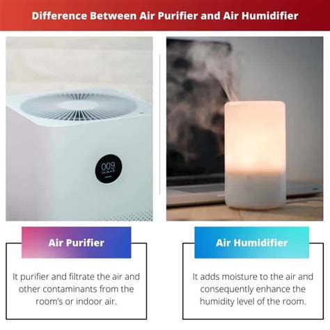 Air Purifier Vs Air Humidifier Difference And Comparison