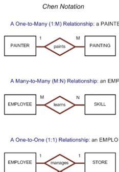 Chapter 4 Entity Relationship ER Modeling Flashcards Quizlet