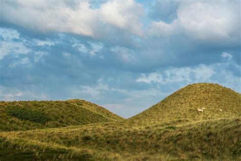 Paisaje Herboso De Las Dunas En La Reserva Natural De La Isla De Sylt