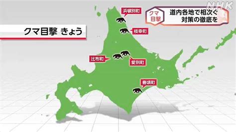 道内各地でクマの目撃が相次ぐ 警察が注意呼びかけ｜nhk 北海道のニュース