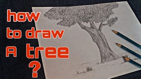 Tree In Pencil Shading How To Draw A Tree How To Make Sketch Of Tree Pencil Shading