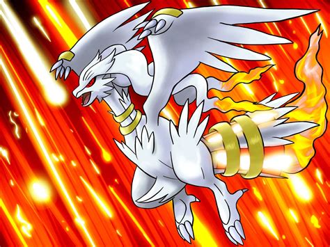 Download Reshiram Flies Through Fire Wallpaper | Wallpapers.com