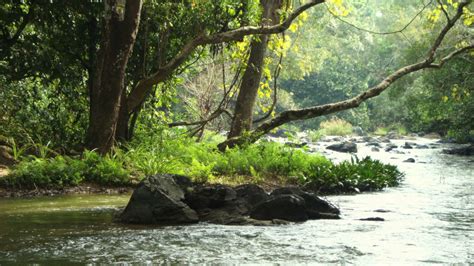 Kuruva-Island - Kerala Tourism