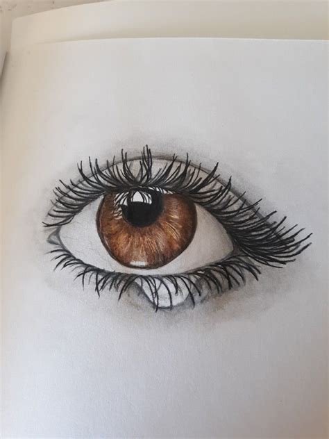 Brown Eye Drawing