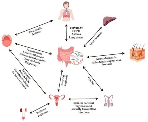 Nutrients Free Full Text Human Microbiota Network Unveiling