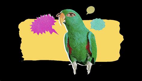 ᴗ on Twitter fuck this bird https t co fCj P AArc Twitter