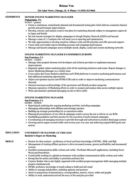 Social Media Manager Resume Examples For Artofit