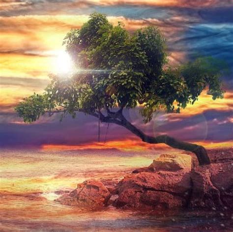 Awakening of nature, colors, tree, nature, sun, HD wallpaper | Peakpx