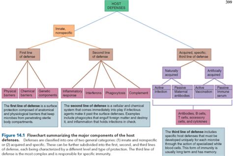 Microbio Ch 14 Host Defenses Overview Nonspecific Immunity