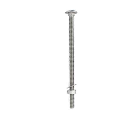 Carriage Bolts Stainless Steel M X Mm Quick Delivery