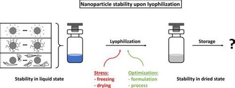 european journal  pharmaceutics