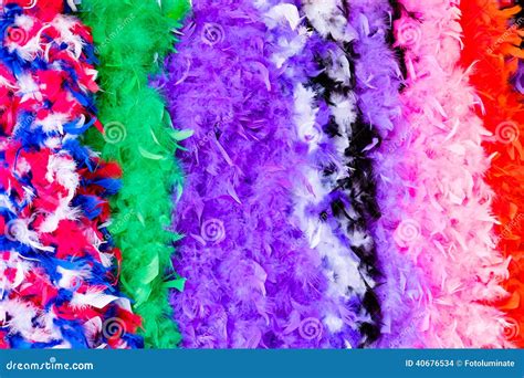 Colorful Feather Boas Stock Photo Image Of Quarter Green