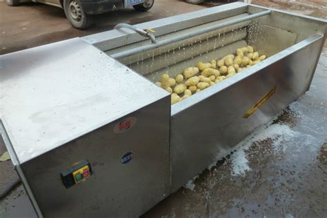 Potato Carrot Radishes Taro Cassava Washing Cleaning And Peeling