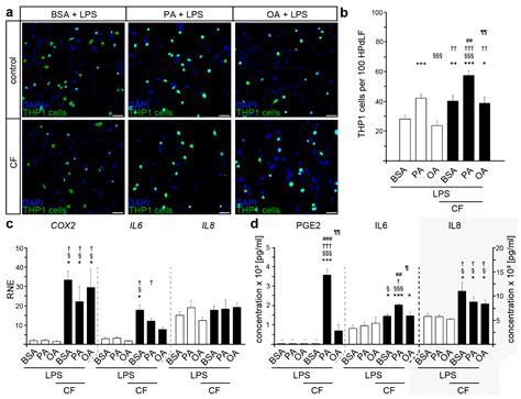 Ijms Free Full Text Hyperlipidemic Conditions Impact Force Induced