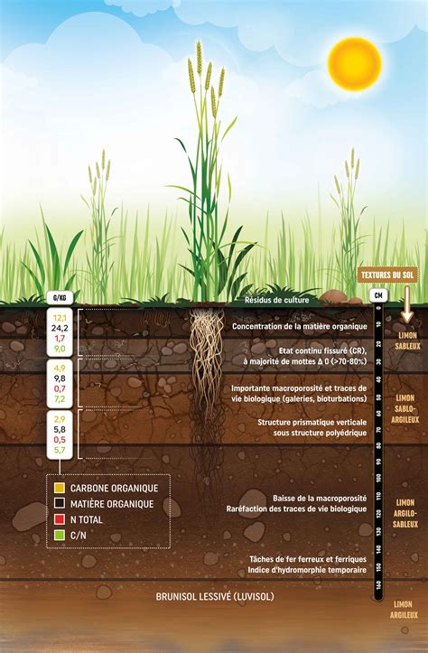 Comprendre La Profondeur Des Sols Isara Le Blog