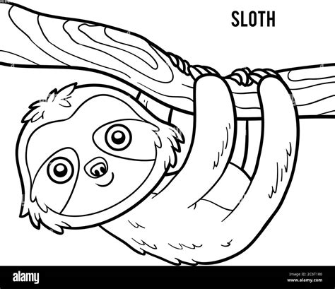 Sloth Coloring Pages For Kids