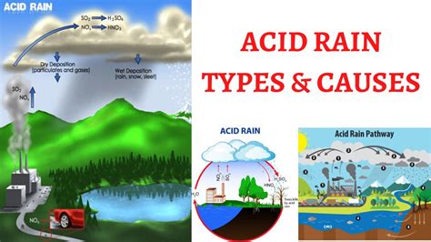 Wet Deposition Of Acid Rain