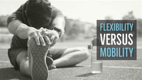 Flexibility Vs Mobility Key Components In Your Training Plan