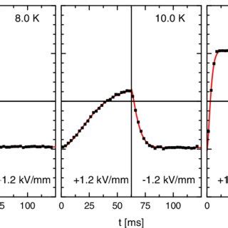 Color Online Time Dependent Measurements Of The Multiferroic