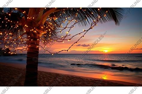 beach christmas lights palm tree