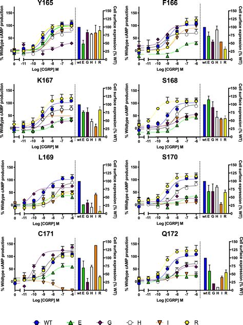 Frontiers The Role Of ICL1 And H8 In Class B1 GPCRs Implications For