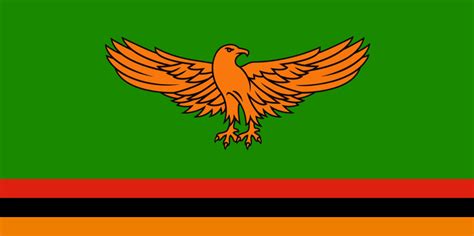 Zambia Flag Bird