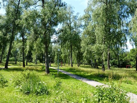 Щербинка деревенская, прогулка в парке: tsharenko — LiveJournal