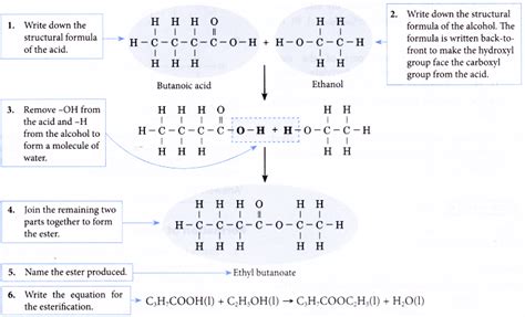 How Esters Are Formed A Plus Topper