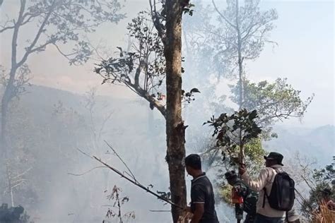 Sebesar 10 Hektar Lereng Gunung Argopuro Alami Kebakaran