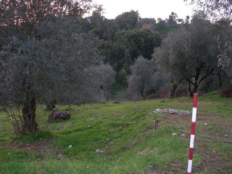 Vendo Terreno Urbano Junto Solum Coimbra Para Constru O Coimbra