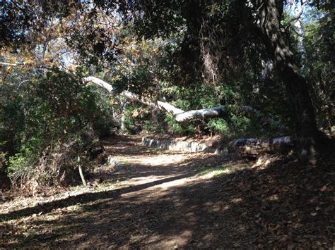 Rustic Canyon Hike: Murphy Ranch - Lori & Michael's Travel Blog