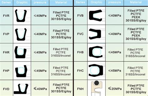 What Kind Of Spring Energized Seals That JST Carry