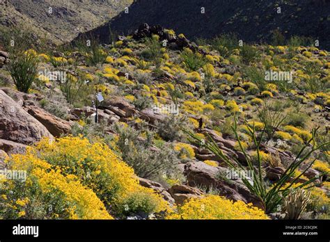 Automatic Weather Station, Anza-Borrego Desert State Park, Borrego ...