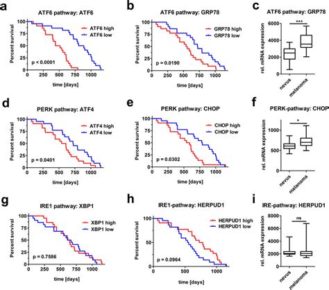 Melanoma Patients With Enhanced Atf And Perk Branch Activity Show