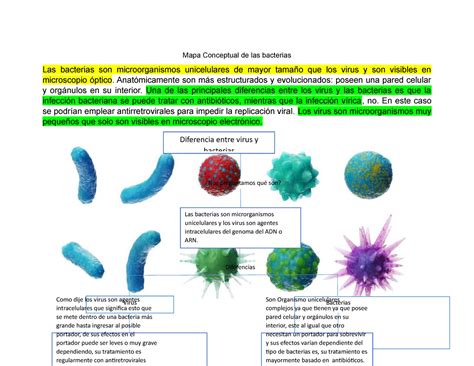 Mapa Conceptual de las bacterias Anatómicamente son más estructurados