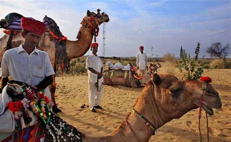 [SALE] Thar Desert Camel Safari from Jodhpur Sale 22% - Ticket KD