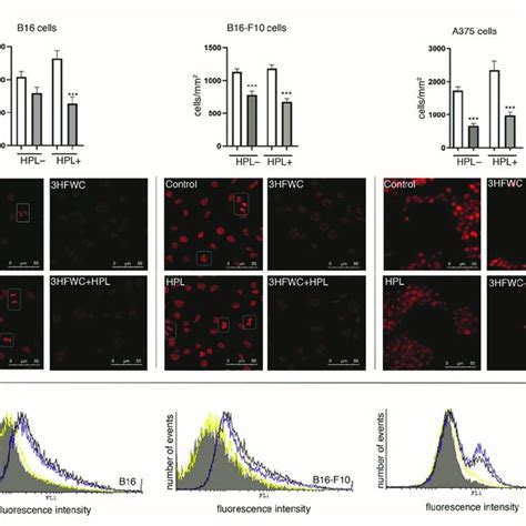 Inhibition Of Melanoma Cell Proliferation By Hfwc And Or Hpl In Vitro