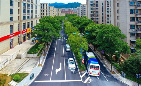 西湖区留下街道杨梅山路整治工程顺利完成——浙江在线