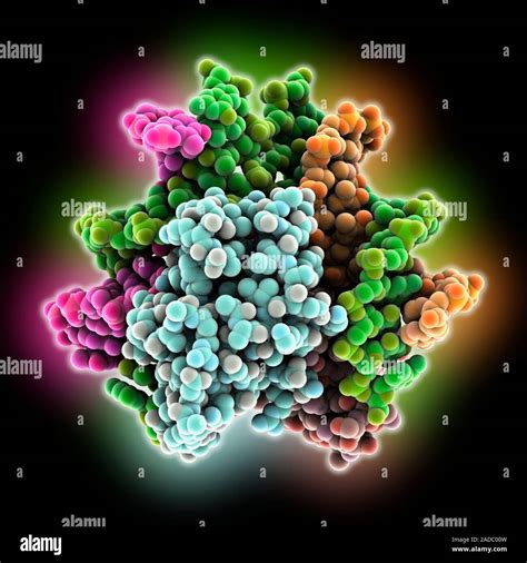 Un regulador de genes accesorios complejado con el ADN ácido